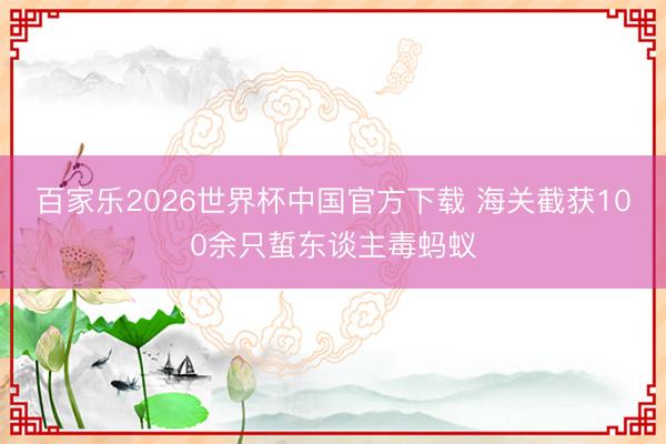 百家乐2026世界杯中国官方下载 海关截获100余只蜇东谈主毒蚂蚁